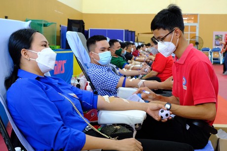 Cà Mau ban hành kế hoạch vận động hiến máu tình nguyện năm 2023