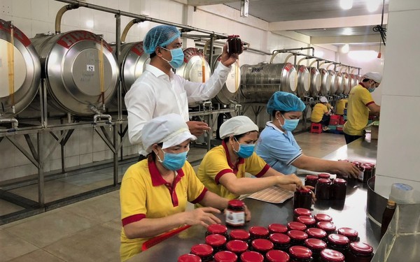 DN Việt củng cố thị trường nội địa, mở rộng xuất khẩu sang thị trường “ngách”