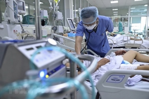 Khẩn: TP.HCM tăng cường phòng, chống bệnh cúm gia cầm A/H5N1