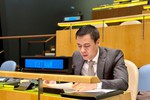 Việt Nam hợp tác chặt chẽ với ASEAN hỗ trợ Myanmar vượt qua khó khăn