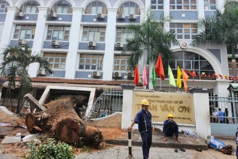 Lãnh đạo TP.HCM chỉ đạo khẩn sau vụ cây đổ tại Trường THCS Trần Văn Ơn