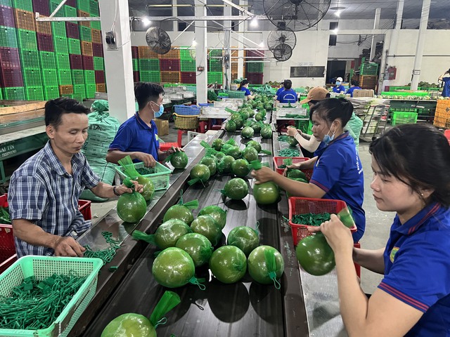 Quan tâm hỗ trợ việc làm, nâng cao nhận thức, phát triển năng lực khởi nghiệp cho thanh niên Bến Tre