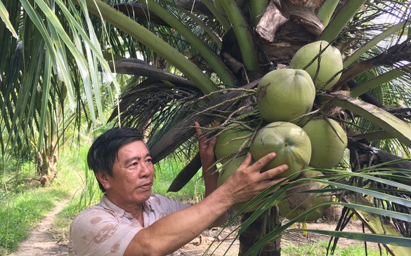Phát triển chuỗi giá trị nhóm sản phẩm nông nghiệp chủ lực tại Bến Tre