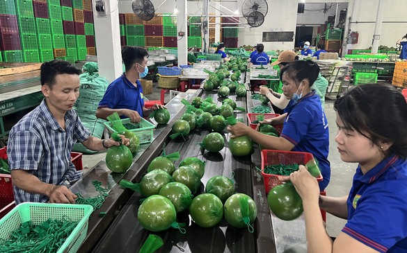 Bến Tre: Tiên phong thực hiện nền tảng dữ liệu số về nông nghiệp, truy xuất nguồn gốc