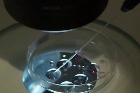 Hạ sinh thành công em bé đầu tiên có DNA của ba người