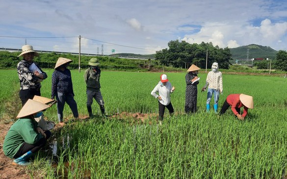 Đào tạo những chuyên gia quản lý 'sức khỏe' cây trồng