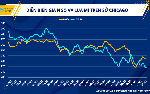 Giá nguyên liệu thức ăn chăn nuôi: Duy trì xu hướng giảm