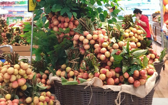 Tưng bừng lễ hội trái cây tại hệ thống Co.opmarrt