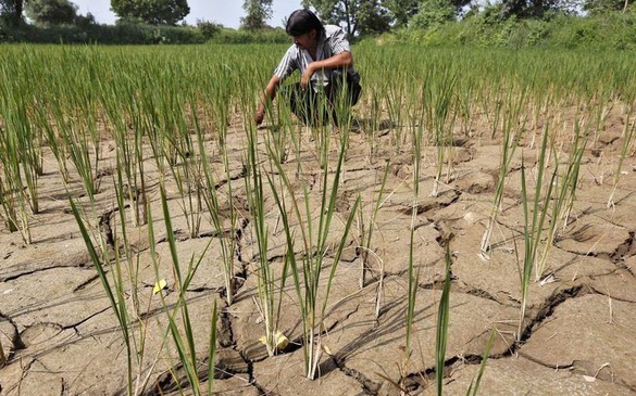 Hiện tượng El Nino đã xuất hiện: Hậu quả gì phía trước?