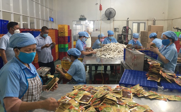 Bến Tre: Tập trung giải quyết việc làm cho người lao động