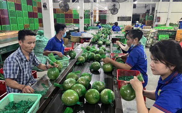 Bến Tre: Xuất nhập khẩu tăng bình quân 18,34%/năm