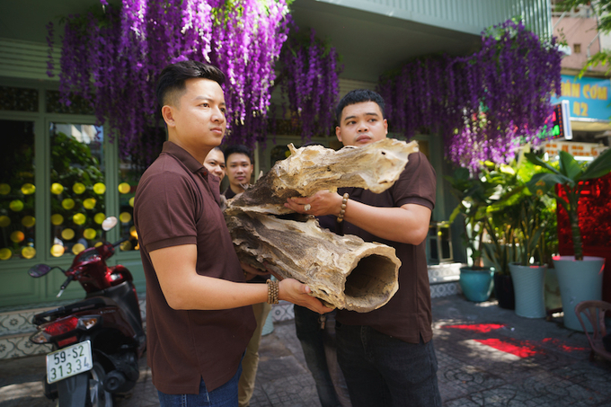 Mãn nhãn thân trầm hương 300 năm tuổi tại TP. Hồ Chí Minh