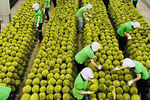 Tạo động lực cho doanh nghiệp xuất khẩu trong những tháng cuối năm