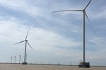 Bến Tre phấn đấu đưa 377 MW điện gió vào khai thác