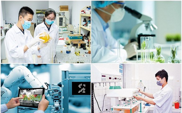 Đề xuất nguyên tắc xét thi đua, khen thưởng lĩnh vực khoa học và công nghệ
